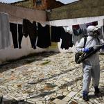 Rio de Janeiro anuncia fim da epidemia de dengue na cidade