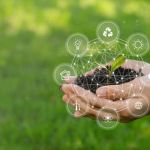 Agfintechs: o que são e como elas impactam o agro?