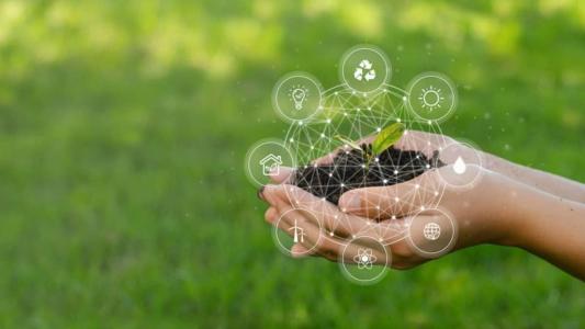 As agfintechs estão transformando o agronegócio com soluções de acesso ao crédito e modernização. Entenda como funcionam e quais são os impactos no agro.