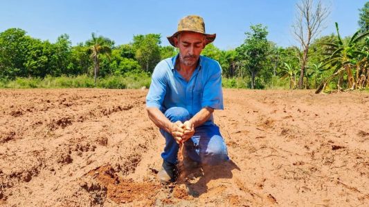 Agricultor do Alto Paranaíba contemplando com kit de irrigação por gotejamento