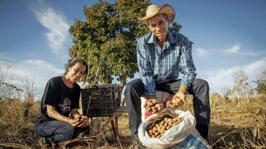 Agricultores familiares da região de Grande Sertão Veredas: felizes com a comercialização da castanha de baru