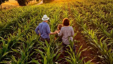 Agricultores tiveram muitas conquistas como o acesso mais facilitado ao crédito rural