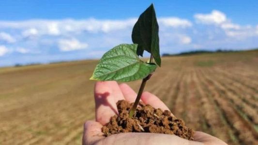 Agricultura regenerativa aperfeiçoou e ampliou as recomendações da agricultura orgãnica