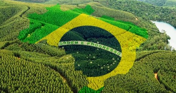 Dos grandes produtores não se ouve reclamação, porque são mais amparados pela indústria e pelo governo