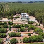 Desafios e inovações marcam o uso de energia sustentável em propriedades rurais de Minas
