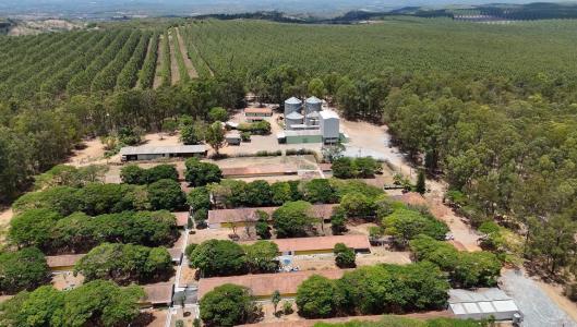 Energia sustentável ganha espaço no agronegócio mineiro