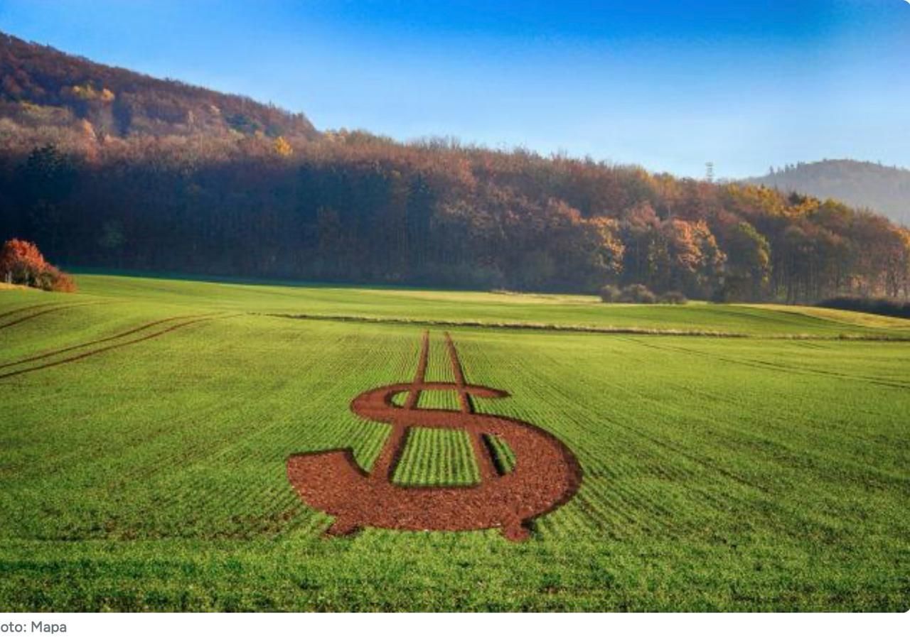 Black Friday: agro marketplaces ainda aproveitam pouco a data, aponta estudo