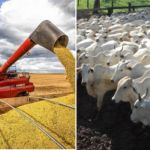 Valdir Barbosa | Agro dos EUA abre guerra contra soja e carne do Brasil, enquanto Trump e Xi Jinping se aproximam