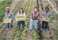 MG amplia regularização fundiária e chega a 270 municípios atendidos