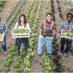 Agricultor Familiar tropeça para alcançar o crédito rural no Plano Safra