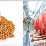 Valdir Barbosa | China volta a comprar frango brasileiro; carne bovina e soja podem enfrentar novas barreiras