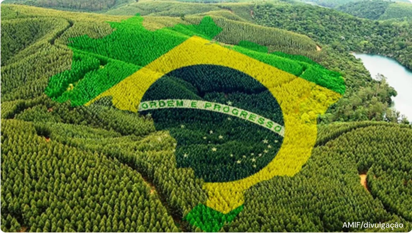 Valdir Barbosa | Agro fecha o ano com marcas históricas e atento ao mercado internacional de 2026