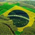 Valdir Barbosa | Agro fecha o ano com marcas históricas e atento ao mercado internacional de 2026