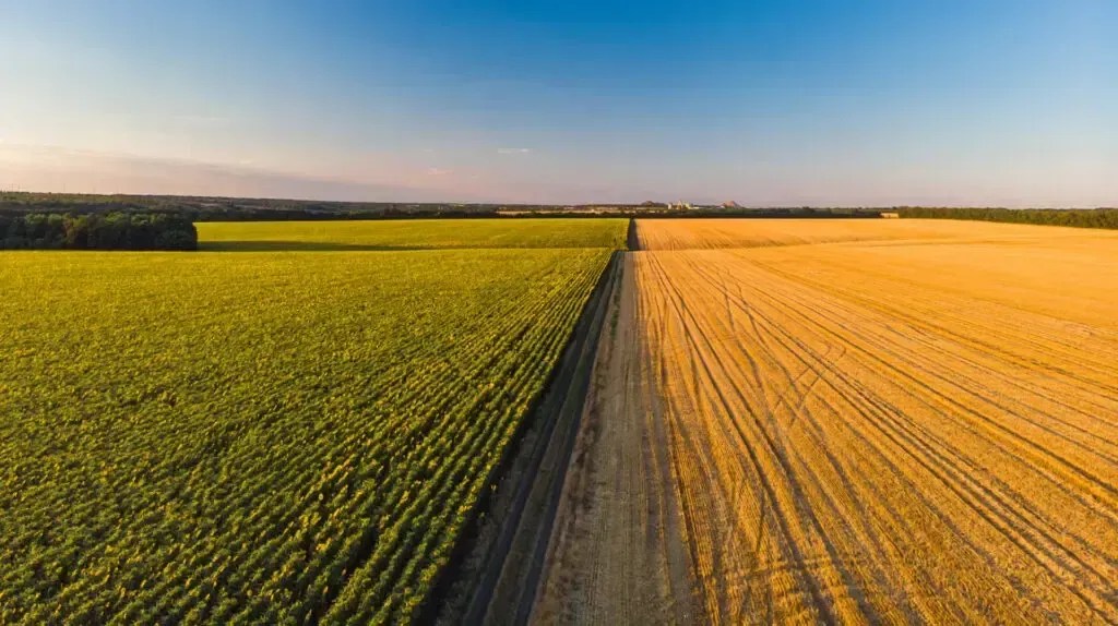 Agroindústria cresce apenas 0,3% em janeiro