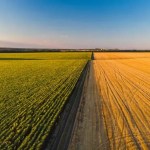 Agroindústria cresce apenas 0,3% em janeiro