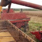 Governo lança novo Plano Safra com promessa de subsídio recorde para o agro