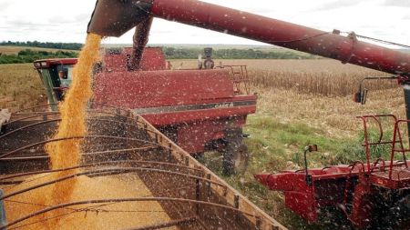 Agronegócio brasileiro é tema destacado por professor Marcos Fava Neves