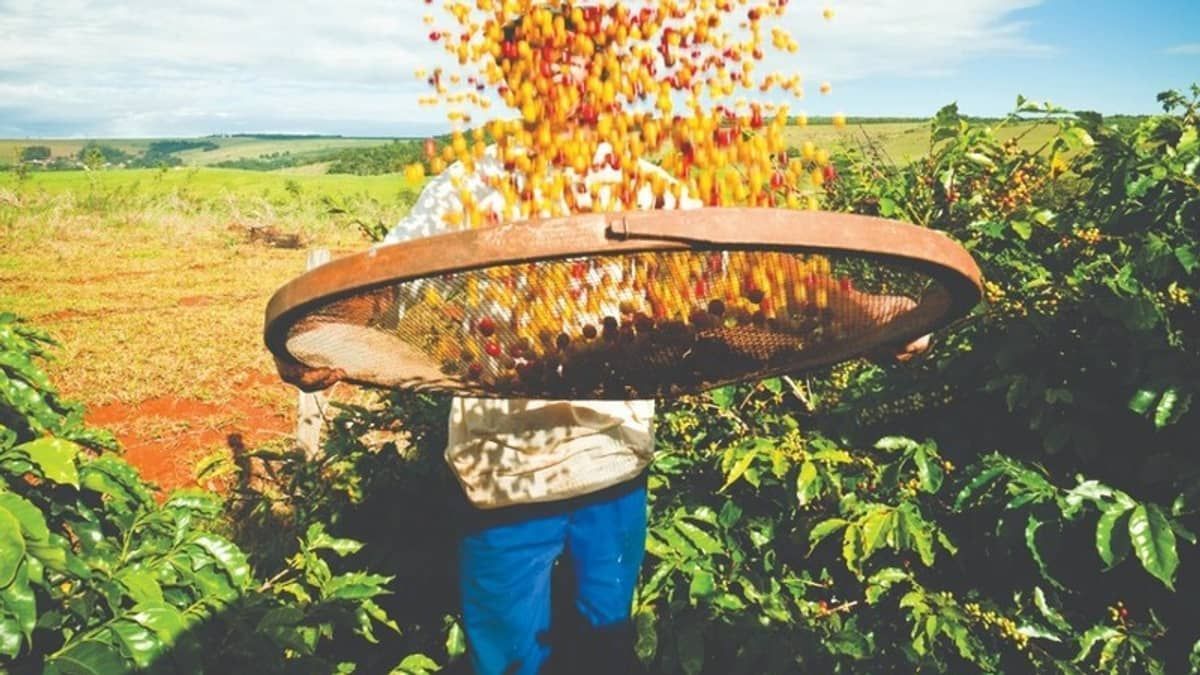 Minas Gerais gerou 25,5 mil empregos com carteira assinada em junho, aponta Caged