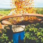 Minas Gerais gerou 25,5 mil empregos com carteira assinada em junho, aponta Caged