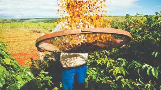 Agropecuária puxou alta no estado