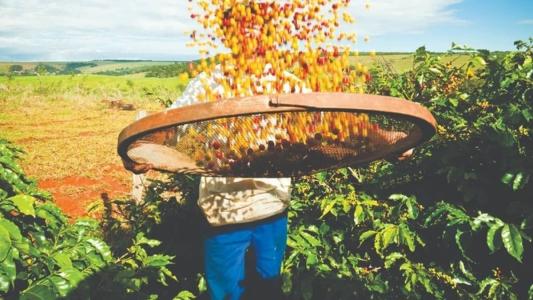 Agropecuária puxou alta no estado