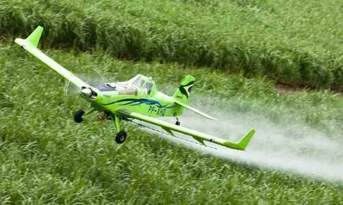 Agrotoxico