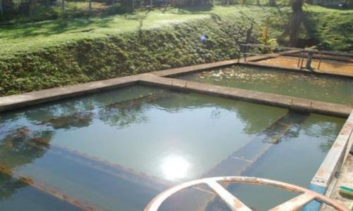 reservatório de água do Saae, de Viçosa