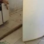 Corpo de mulher é encontrado dentro de geladeira; namorado da vítima foi preso suspeito pelo crime