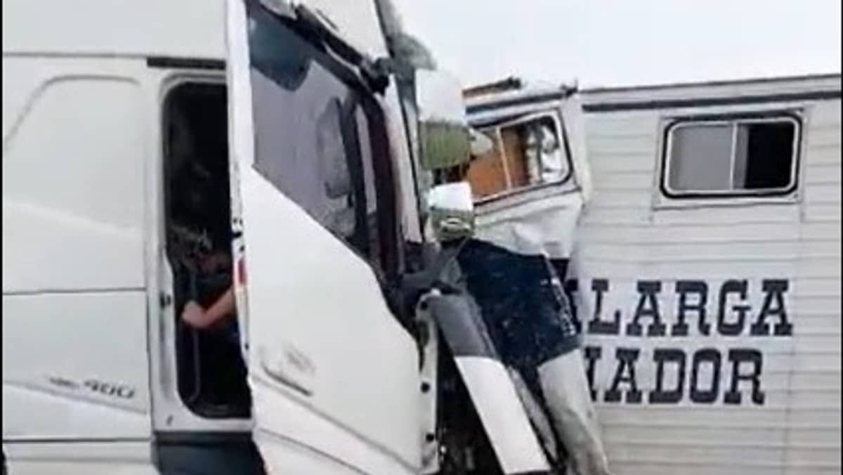 BR-381 fica interditada após acidente entre carreta e caminhão que transportava cavalos