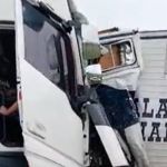 BR-381 fica interditada após acidente entre carreta e caminhão que transportava cavalos
