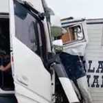 BR-381 fica interditada após acidente entre carreta e caminhão que transportava cavalos
