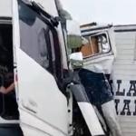 BR-381 fica interditada após acidente entre carreta e caminhão que transportava cavalos