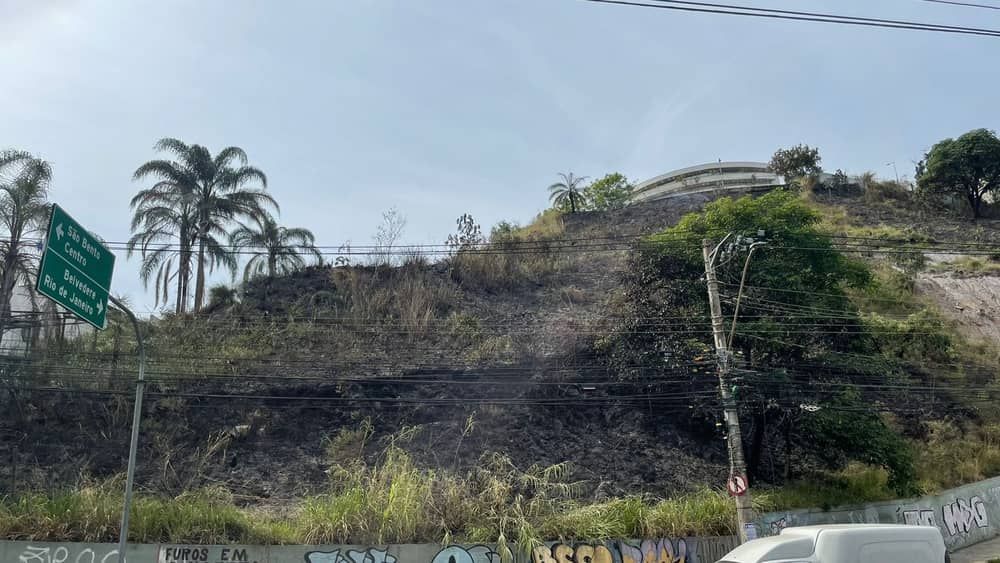 Bombeiros combatem incêndio em mata no bairro Buritis, na região Oeste de BH 