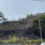 Bombeiros combatem incêndio em mata no bairro Buritis, na região Oeste de BH 