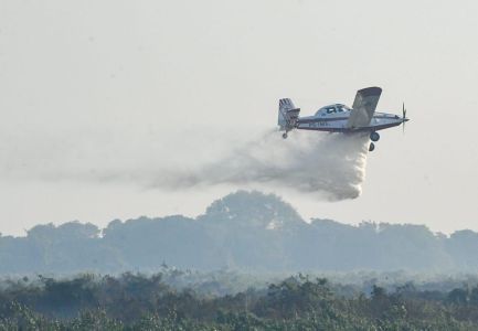 Incêndios reabrem polêmica sobre química do “retardante de chama” em florestas | CNN Brasil
