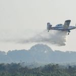 Incêndios reabrem discussão: “retardante de chama” pode ser usado em florestas?