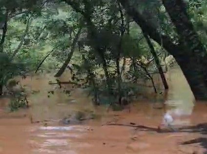 Vídeo: temporal alaga parte da MGC-122 no Norte de Minas