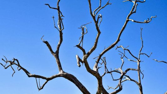 Alerta de baixa umidade é válido até às 19h desta segunda-feira para centenas de cidades mineiras