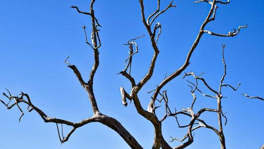 Alerta de baixa umidade é válido até às 19h desta segunda-feira para centenas de cidades mineiras
