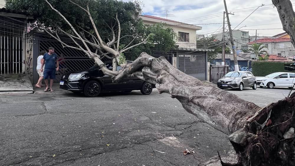 Onda de calor: SP tem alerta para tempestades e rajadas de vento intensas 