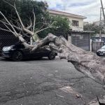 Onda de calor: SP tem alerta para tempestades e rajadas de vento intensas 