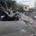 Onda de calor: SP tem alerta para tempestades e rajadas de vento intensas