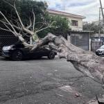 Onda de calor: SP tem alerta para tempestades e rajadas de vento intensas