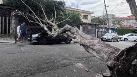 Alerta de tempestade vale até o domingo (19)