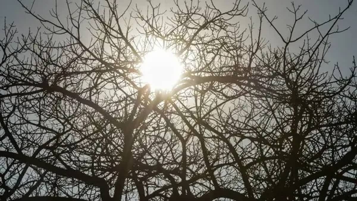 Tempo seco: 151 cidades de Minas Gerais estão sob alerta de baixa umidade nesta terça (25)