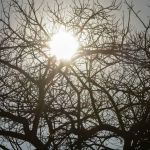 Minas tem alerta de baixa umidade do ar e clima de deserto atinge dezenas de cidades