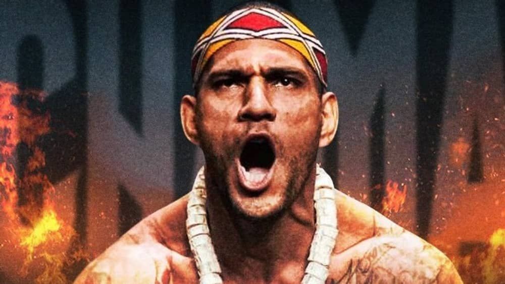 Brasileiro pode ser campeão do UFC neste sábado (11)