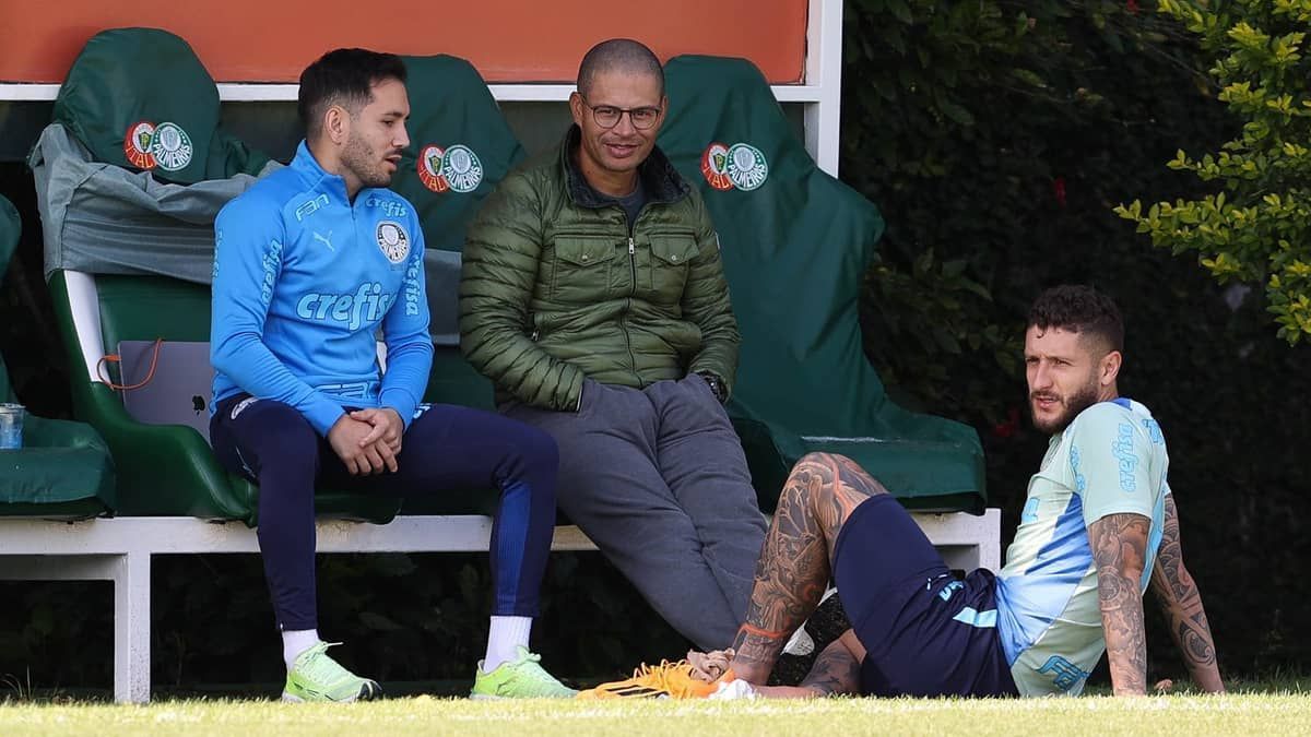Alex volta ao Palmeiras para aprendizado com equipe técnica