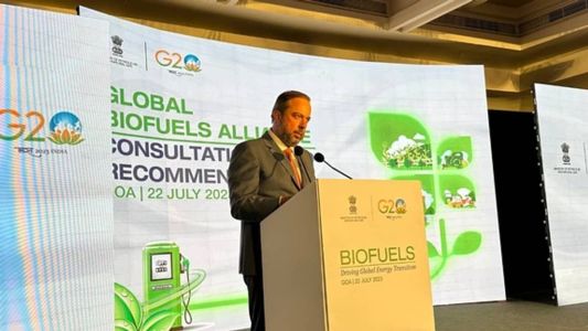 Alexandre Silveira participa do G20, na Índia