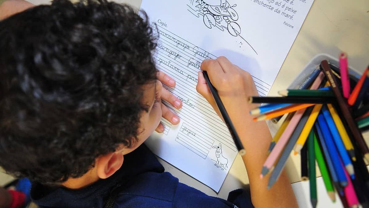 Alfabetização no tempo adequado melhora desempenho de alunos na trajetória escolar